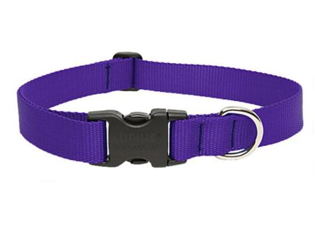 Lupine 1  Collar 16 - 28  Adj Purple Online now