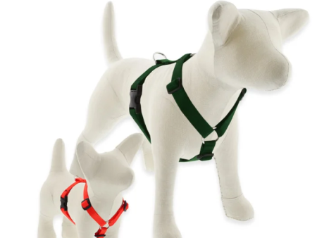 Lupine Basic Solids Roman Dog Harness 3 4  wide Online Hot Sale