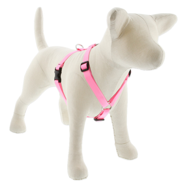 Lupine Basic Solids Roman Dog Harness 3 4  wide Online Hot Sale