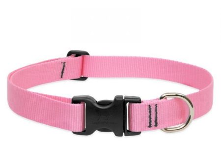 Lupine 1in Pink 25-31 Adj Collar For Sale