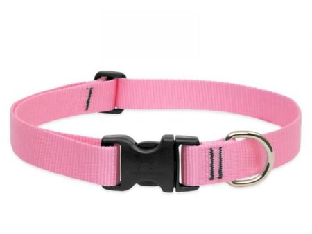 Lupine 1  Collar 16 - 28  Adj Online now