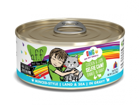 Weruva BFF Oh My Gravy Selfie Cam Grain Free Chicken & Lamb in Gravy Canned Cat Food Online Sale