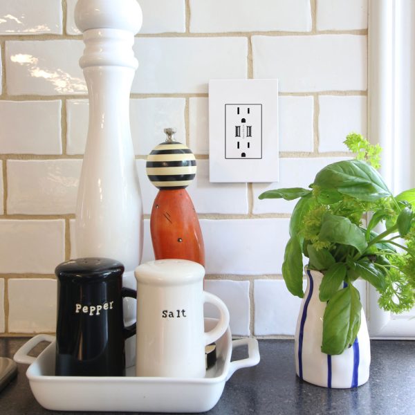 Adorne Dual USB Outlet with Wall Plate Hot on Sale