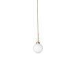 Apiales Pendant Light Discount