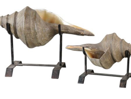 Conch Shell Sculpture, Set 2 Online