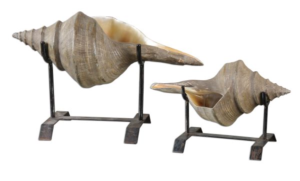 Conch Shell Sculpture, Set 2 Online