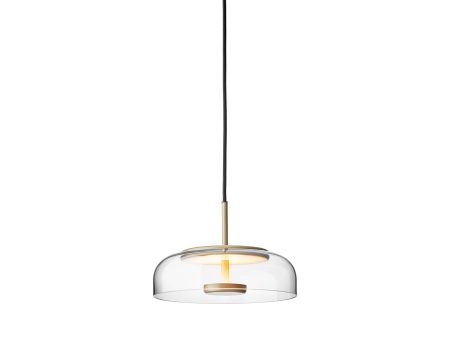 Blossi LED Pendant Light Fashion