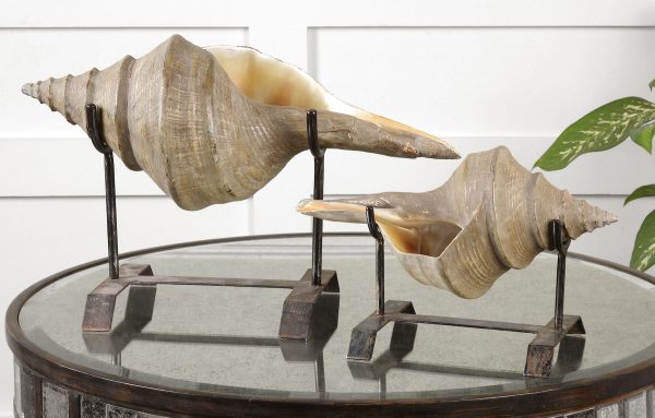 Conch Shell Sculpture, Set 2 Online