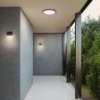 Alto Ultra Slim Outdoor LED Wall Light Online