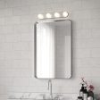 Rezz LED Vanity Wall Light For Sale