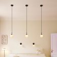 Apiales Pendant Light Discount