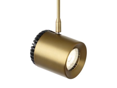 Burk Low Voltage FreeJack LED Head Discount