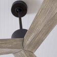 Adler Ceiling Fan For Cheap