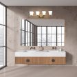 Annalise Bath Vanity Light Online