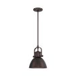 224 Pendant Light Discount