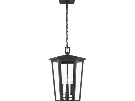 Witley Outdoor Pendant Light For Sale