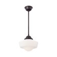 2256 Pendant Light Fashion