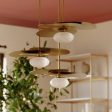 Allida Pendant Light Sale