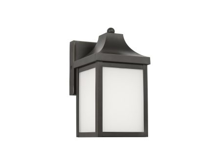 Saybrook Outdoor Wall Light For Cheap