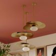 Allida Pendant Light Sale