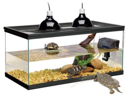 Zilla Deluxe Aquatic Turtle Kit 1 Each 20 Long by Zilla Hot on Sale